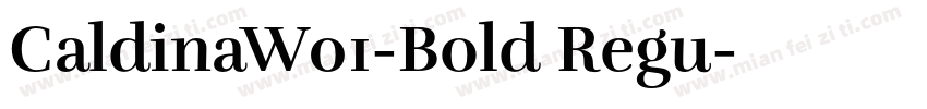 CaldinaW01-Bold Regu字体转换
